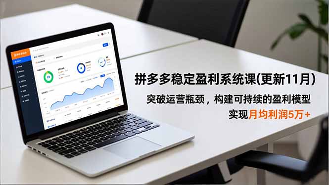 拼多多稳定盈利系统课(更新11月-副业网