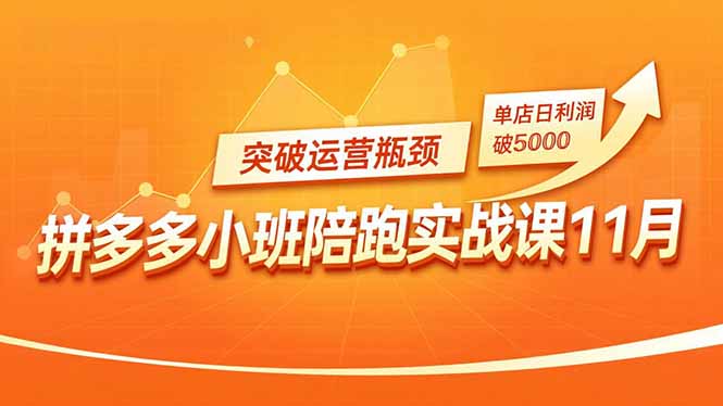 拼多多小班陪跑实战课11月，强付费矩阵、原价活动、暗券引流，突破运营瓶颈，单店日利润破5000-副业网
