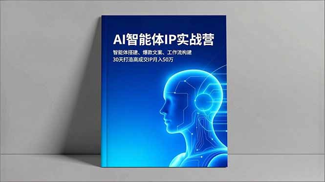AI智能体IP实战营，智能体搭建、爆款文案、工作流构建，30天打造高成交IP月入50万-副业网