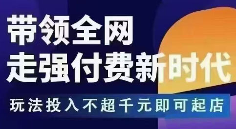 王校长拼多多无限活动流，带领全网走强付费新时代，玩法投入不超千元即可起店-副业网