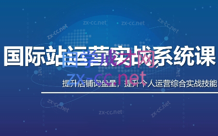 白老师·国际站运营实战系统(高质量询盘增长课)(部分更新)-副业网