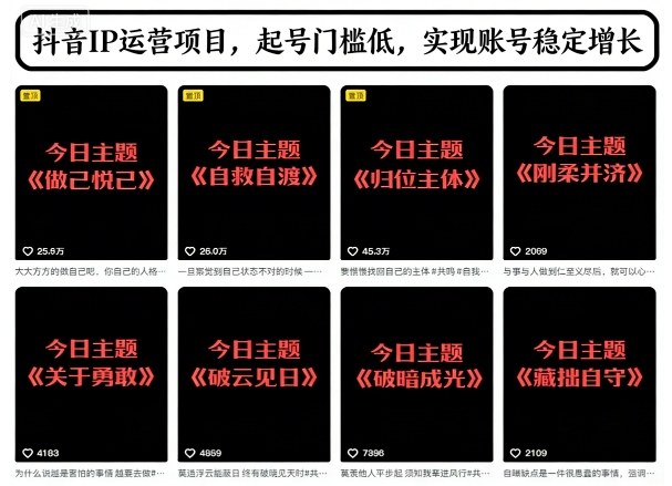 抖音IP运营项目，抖音今日主题玩法，起号门槛低，实现账号稳定增长-副业网