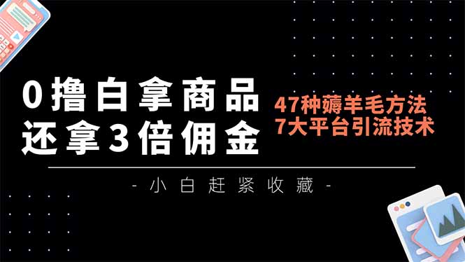 0撸白拿商品，还拿3倍佣金，47种薅羊毛方法，7大平台全方位引流技术教学，精专月入过万-副业网