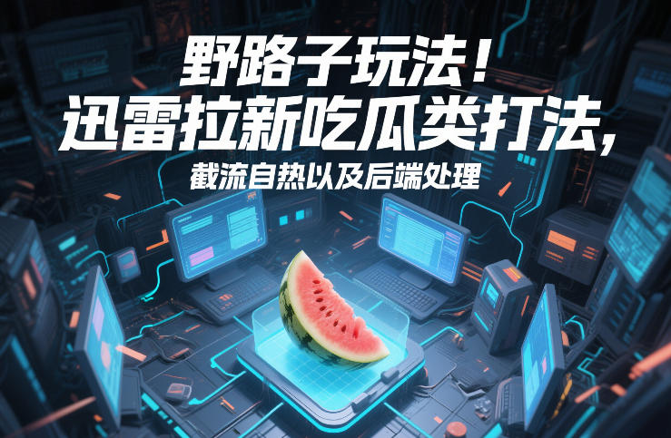 野路子玩法！迅雷拉新吃瓜类打法，截流自热以及后端处理-副业网