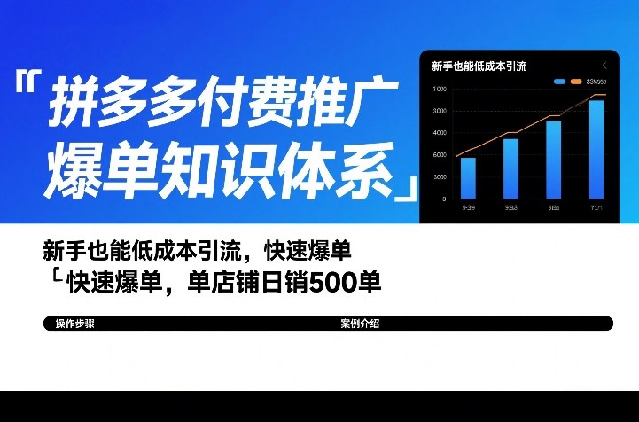 拼多多付费推广爆单知识体系，新手也能低成本引流，快速爆单，单店铺日销500单-副业网