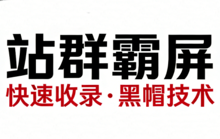 SEO野路子实战全集：快速收录、站群霸屏、黑帽技术(更新)-副业网