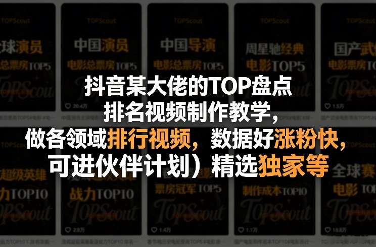 抖音某大佬的TOP盘点排名视频制作，做各领域排行视频，数据好涨粉快，可进伙伴计划＋精选独家等-副业网