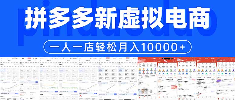 拼多多虚拟电商一人一店轻松月入10000+-副业网