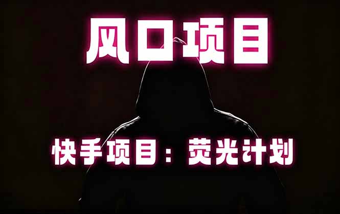 快手风口项目，荧光计划托管，长期稳定，适合批量做-副业网