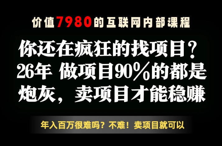 26年请不要疯狂的找项目了，卖项目远比你想象的暴利，你也可以月入10W+【揭秘】-副业网