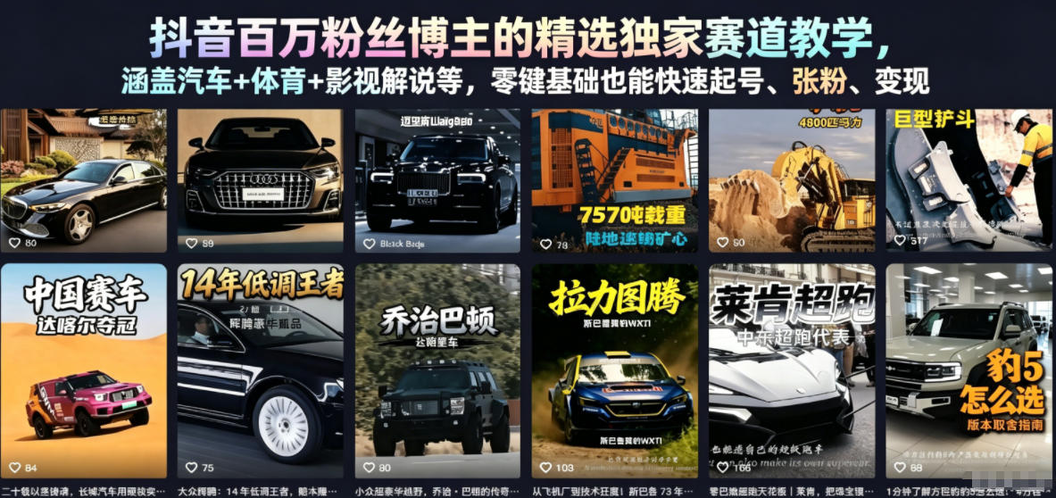 抖音百万粉丝博主的精选独家赛道教学，涵盖汽车+体育+影视解说等，零基础也能快速起号、涨粉、变现-副业网