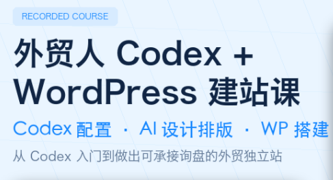 大卫·外贸人Codex + WordPress建站课(更新8月)-副业网
