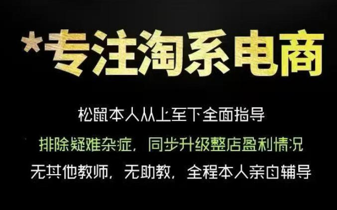 松鼠会电商VIP课程，从基础布局到高阶优化，助你掌握淘宝运营逻辑，提升店铺流量与转化(更新0823)-副业网