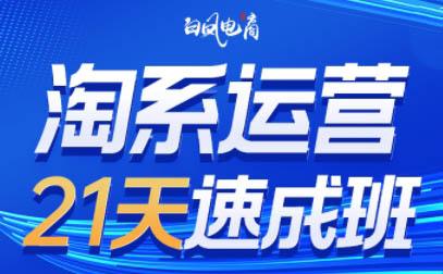 白凤电商·淘系运营21天速成班(更新8月)-副业网