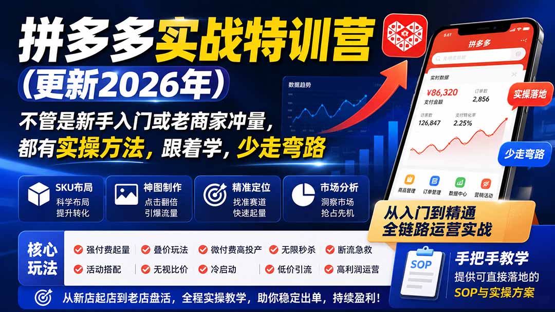 拼多多实战特训营(更新26年9月-副业网