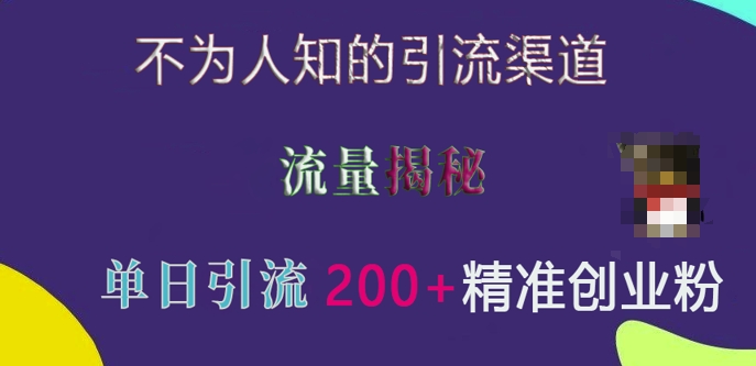 不为人知的引流渠道，流量揭秘，实测单日引流200+精准创业粉【揭秘】-副业网