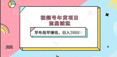 视频号年货项目，流量贼猛，早布局早挣钱，日入上k【揭秘】-副业网