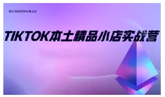 TikTok本土精品小店出海实战营，从入门到高阶，不止0-1!-副业网