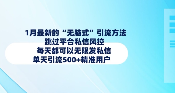 1月最新的无脑式引流方法，跳过平台私信风控，每天都可以无限发私信，单天引流500+精准用户-副业网