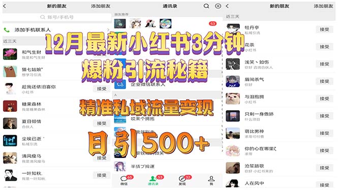 12月最新小红书3分钟爆粉引流秘籍 精准私域流量变现 日引500+-副业网