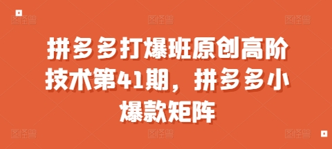 拼多多打爆班原创高阶技术第41期，拼多多小爆款矩阵-副业网