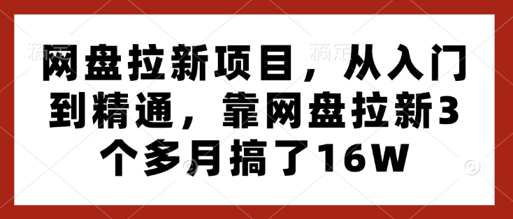 网盘拉新项目，从入门到精通，靠网盘拉新3个多月搞了16W-副业网