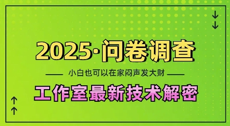 2025问卷调查最新工作室技术解密：一个人在家也可以闷声发大财，小白一天2张，可矩阵放大【揭秘】-副业网