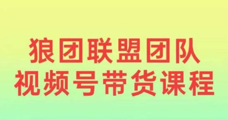 狼团联盟2024视频号带货，0基础小白快速入局视频号-副业网