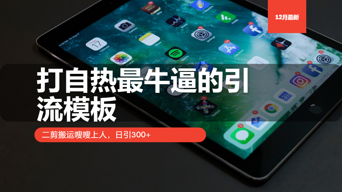 打自热最牛逼的引流模板，二剪搬运嗖嗖上人，日引300+-副业网