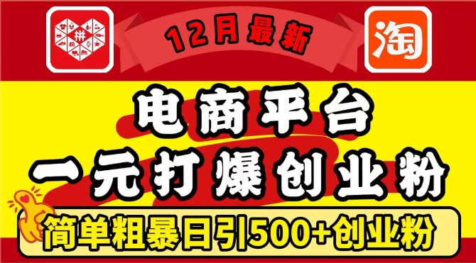 12月最新：电商平台1元打爆创业粉，简单粗暴日引500+精准创业粉，轻松月入过W【揭秘】-副业网