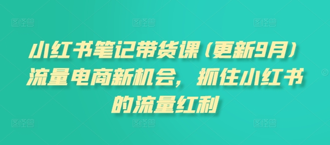 小红书笔记带货课(更新25年1月)流量电商新机会，抓住小红书的流量红利-副业网