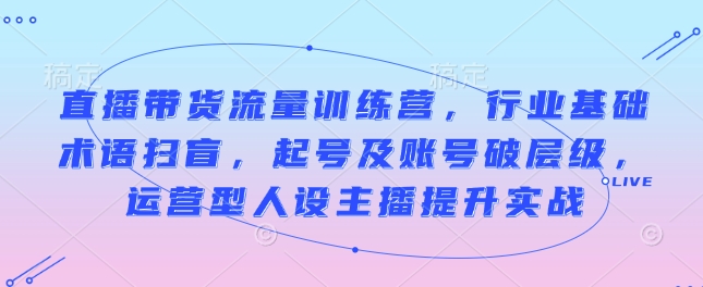 直播带货流量训练营，行业基础术语扫盲，起号及账号破层级，运营型人设主播提升实战-副业网