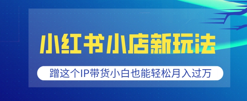 小红书小店新玩法，蹭这个IP带货，小白也能轻松月入过W【揭秘】-副业网