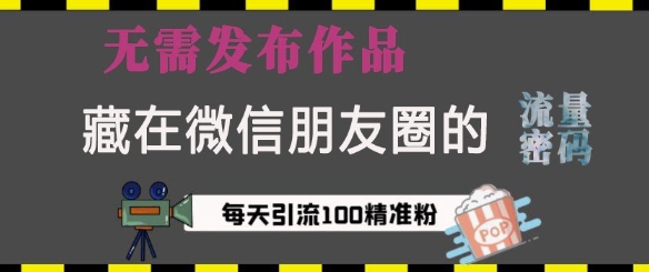 藏在微信朋友圈的流量密码，无需发布作品，单日引流100+精准创业粉【揭秘】-副业网