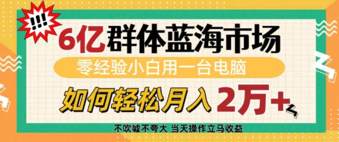 6亿群体蓝海市场，零经验小白用一台电脑，如何轻松月入过w【揭秘】-副业网