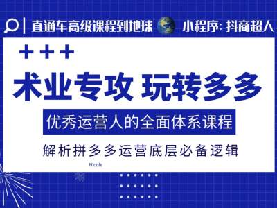 术业专攻玩转多多，优秀运营人的全面体系课程，解析拼多多运营底层必备逻辑-副业网
