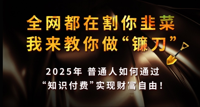 全网都在割你韭菜，我来教你做镰刀，2025年普通人如何通过 知识付费 实现财F自由【揭秘】-副业网