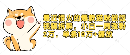 最近很火的爆款猫咪做饭视频拆解，小白一周涨粉2万，单条10万+播放(附保姆级教程)-副业网