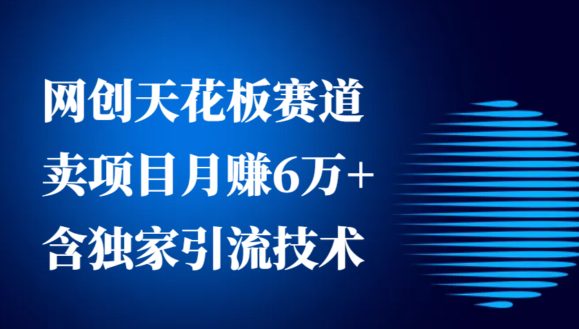 网创天花板赛道，卖项目月赚6万+，含独家引流技术(共26节课)-副业网