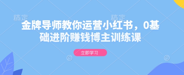 金牌导师教你运营小红书，0基础进阶赚钱博主训练课-副业网