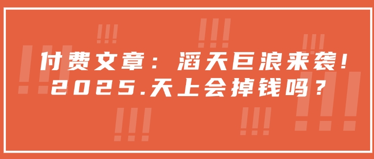 付费文章：滔天巨浪来袭！2025天上会掉钱吗？-副业网