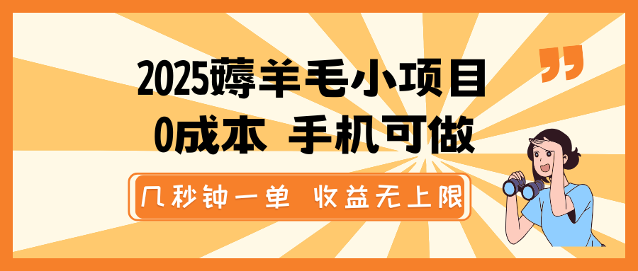 2025薅羊毛小项目，0成本 手机可做，几秒钟一单，收益无上限-副业网