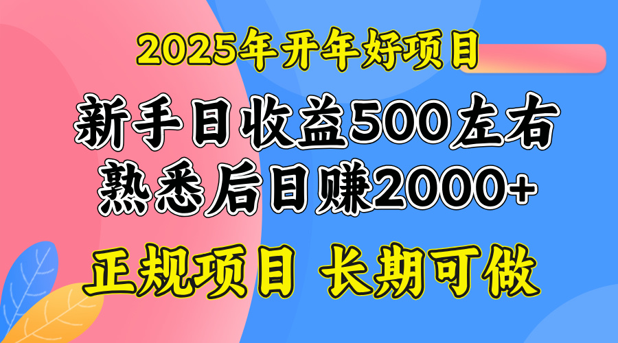 2025开年好项目，单号日收益2000左右-副业网