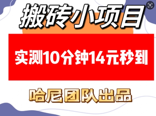搬砖小项目，实测10分钟14元秒到，每天稳定几张(赠送必看稳定)-副业网