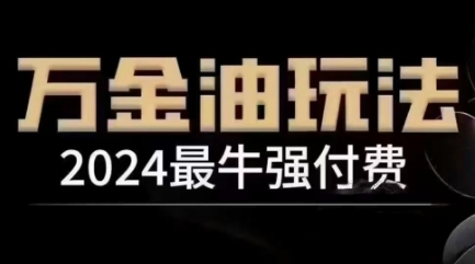 2024最牛强付费，万金油强付费玩法，干货满满，全程实操起飞(更新12月)-副业网