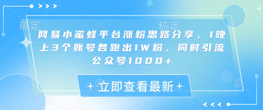 网易小蜜蜂平台涨粉思路分享，1晚上3个账号各跑出1W粉，同时引流公众号1000+-副业网