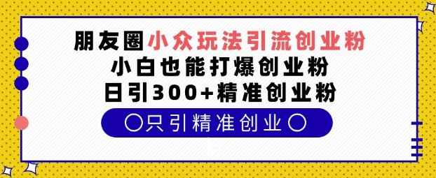 朋友圈小众玩法引流创业粉，小白也能打爆创业粉，日引300+精准创业粉【揭秘】-副业网