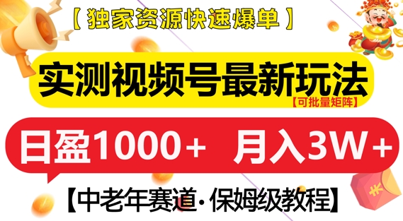 实测视频号最新玩法，中老年赛道，独家资源，月入过W+【揭秘】-副业网