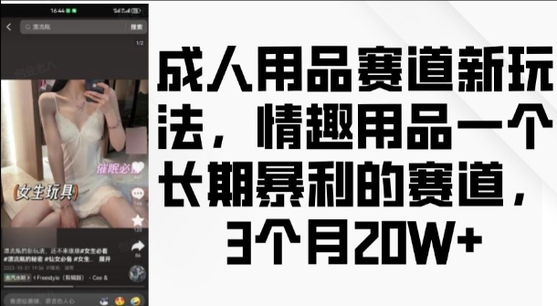 成人用品赛道新玩法，情趣用品一个长期暴利的赛道，3个月收益20个【揭秘】-副业网