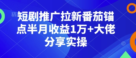 短剧推广拉新番茄锚点半月收益1万+大佬分享实操-副业网